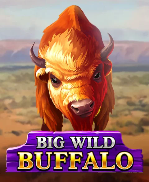 Play Big Wild Buffalo at Raja Bets Casino